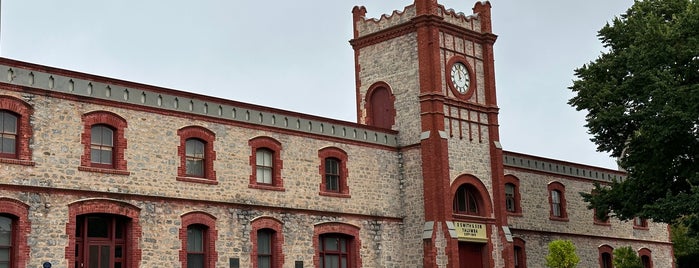 Yalumba is one of Adelaide Wineries.