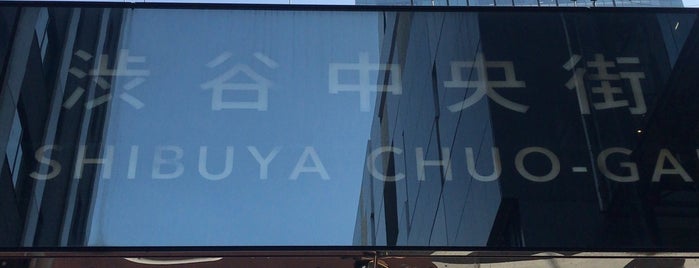 Shibuya Chuo-Gai is one of Shibuya Places To Visit.