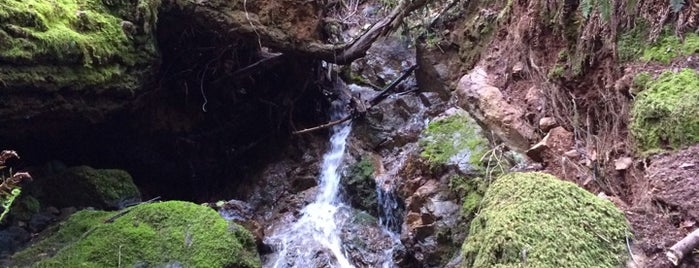 Cataract Falls is one of Happy trails #sf #bayarea.