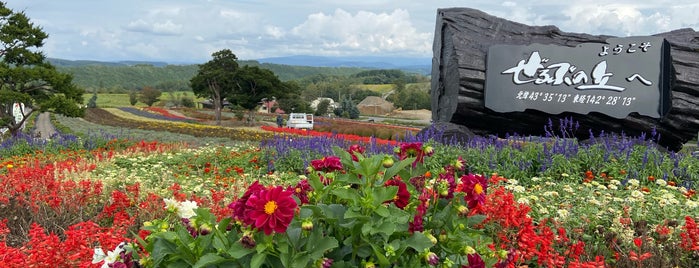 Zerubu Hill is one of 北海道(旭川・美瑛・富良野).