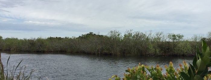 Anhinga Trail is one of Florida 2017.