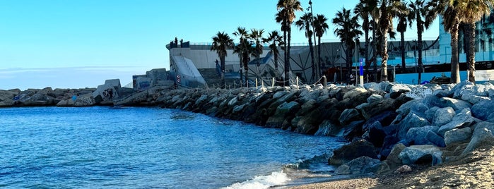 Playa del Vela is one of Barcelona trip..