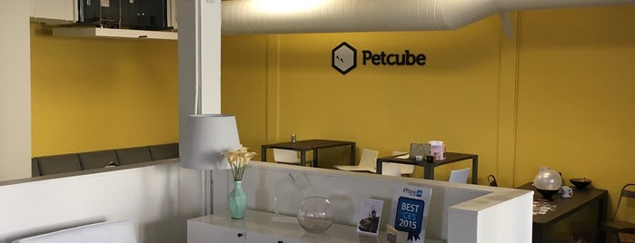 Petcube Inc is one of US.