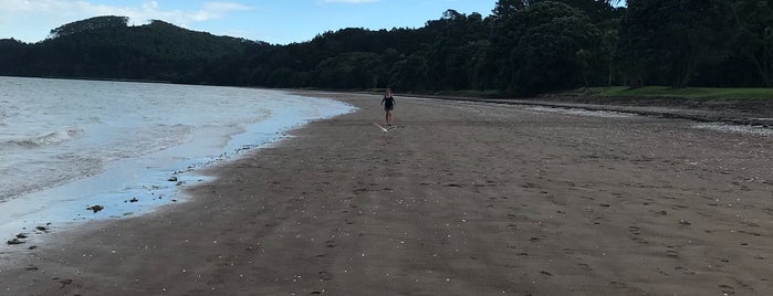 Cornwallis Beach is one of I love NZ beaches.