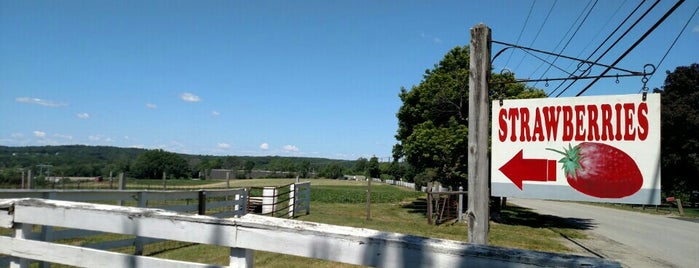 Rogers Spring Hill Farm is one of Haverhill.