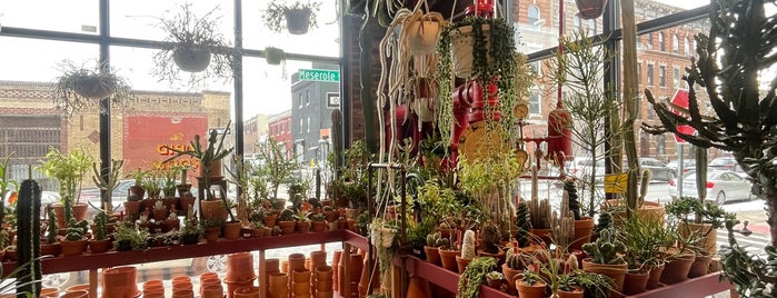 Tula Plants & Design is one of Greenpoint.