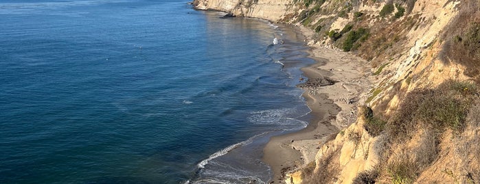 More Mesa Beach is one of Best of Santa Barbara.