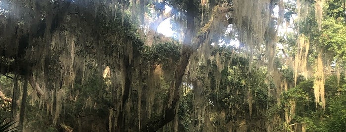 Fort Clinch State Park River Campground is one of Lugares guardados de Kimmie.