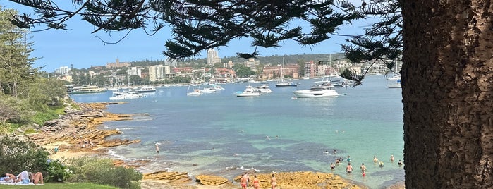 Delwood Beach is one of Sydney with JetSetCD.