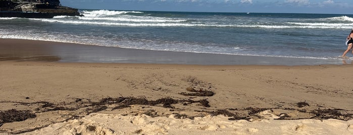 Queenscliff Beach is one of Surfing-2.