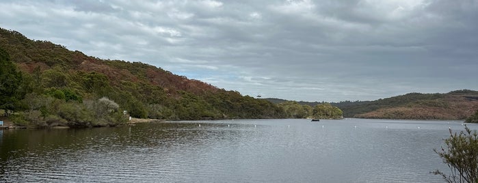 Manly Dam is one of Mountain Biking.