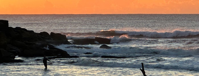 Queenscliff Beach is one of Surfing-2.