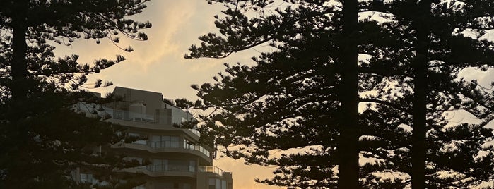 Manly Beach is one of Best of Sydney.