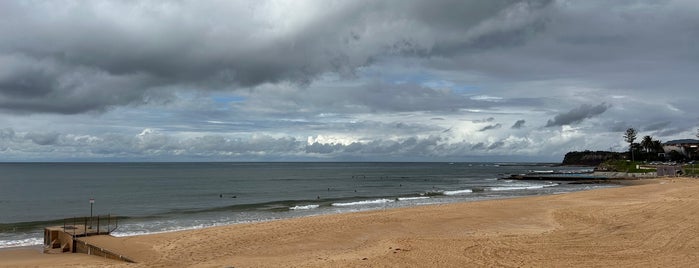 Collaroy Beach is one of North Coast Beaches.