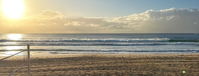 Manly Beach is one of Top picks for Beaches.