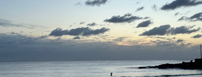 South Steyne Beach is one of Surfing-2.