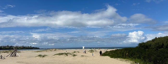 Seven Mile Beach is one of Top 10 favorites places in Gerringong, Australia.