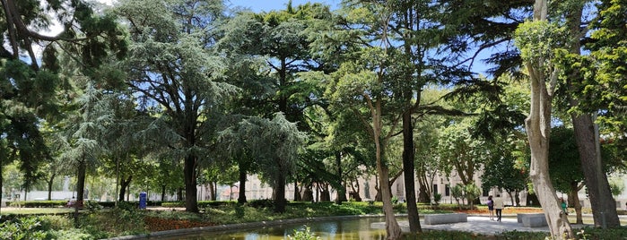 Jardim do Carregal is one of Parques, Jardins e Areas Protegidas.