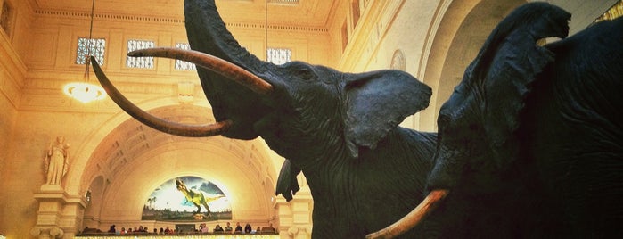 The Field Museum is one of I Want Somewhere: Sights To See & Things To Do.