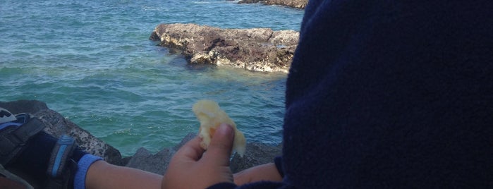 Muro De La Península is one of Guide to Iquique's best spots.