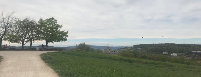 Aussichtspunkt Irchelpark is one of Maŗċさんのお気に入りスポット.
