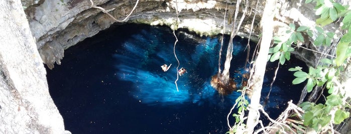 Los 7 Cenotes is one of Armandoさんのお気に入りスポット.