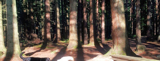 Culloden Woods is one of Orte, die Gemma gefallen.