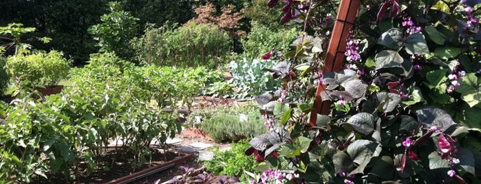 White House Kitchen Garden is one of Lugares favoritos de Alexandre.
