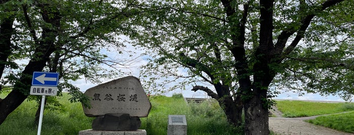 熊谷桜堤 is one of 景色◎.