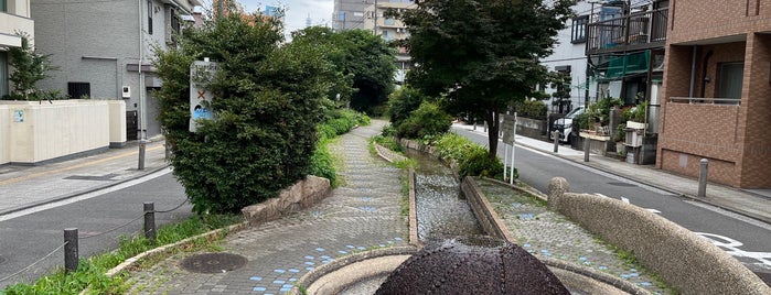 滝の川せせらぎ緑道 is one of 公園.