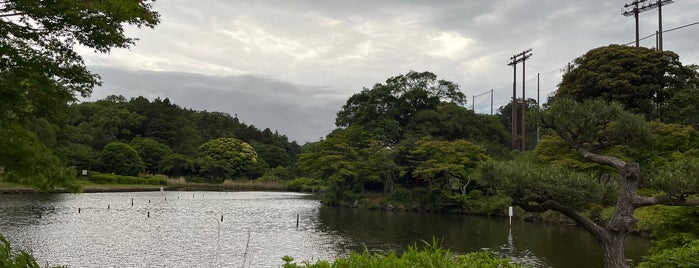 大池 is one of fouさんのお気に入りスポット.