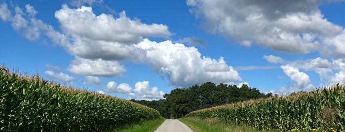 ニーダーザクセン州 is one of Bundesländer.