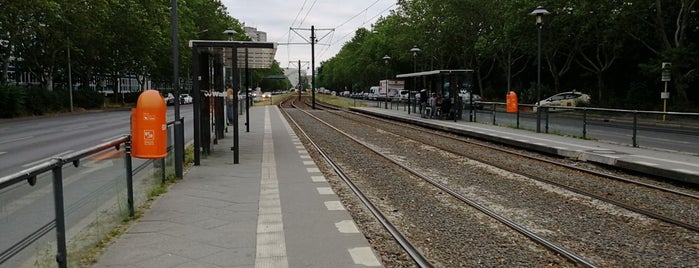 H Landsberger Allee / Weißenseer Weg is one of Berlin tram line 16.