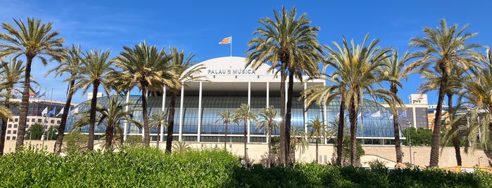 Palau de la Música is one of Santander,Valencia, Zaragoza.