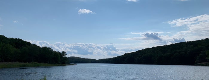 Lake Sebago Beach is one of New York State Parks.