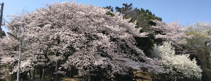 加茂川神社 is one of Locais curtidos por Aloha !.