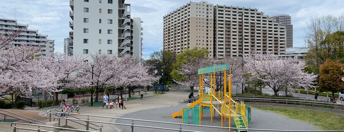 瑞光橋公園 is one of 荒川・墨田・江東.