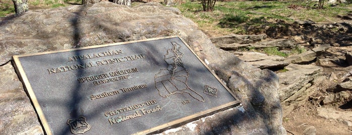 Springer Mountain Summit is one of Appalachian Trail.