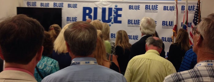 Blue Ocean Film Festival St. Pete Office is one of BLUE 2014 Venues.