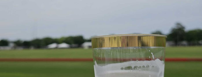 The Houston Polo Club is one of Best places to go in Houston.