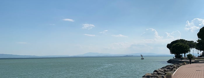Lago Trasimeno is one of Tempat yang Disukai Elliott.