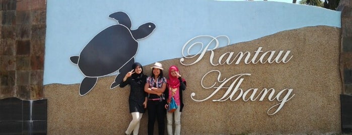 Pantai Rantau Abang is one of Terengganu for The World #4sqCities.