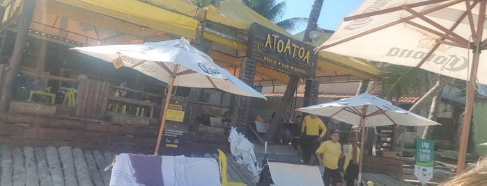 Atoatoa is one of Locais curtidos por Kleber.