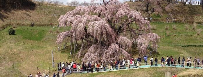 Miharu Takizakura is one of 未訪問.