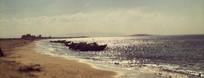 Mesi Beach is one of Orte, die Mehmet Ali gefallen.