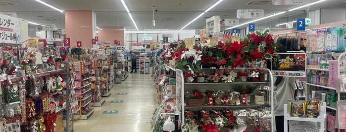 Daiso is one of Eastern area of Tokyo.