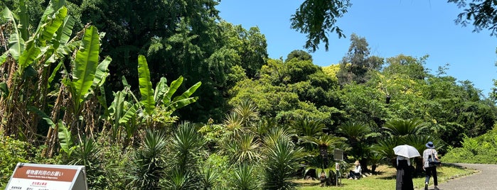 코이시카와 식물원 is one of 行きたいリスト.