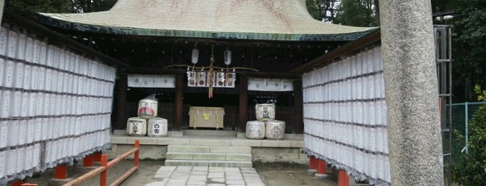 大鳥大社 is one of 八百万の神々 / Gods live everywhere in Japan.