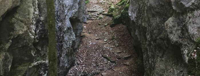 Grotte des Nains is one of สถานที่ที่ Mael ถูกใจ.