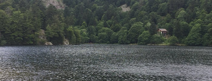 Lac du Schiessrothried is one of Lieux qui ont plu à Mael.